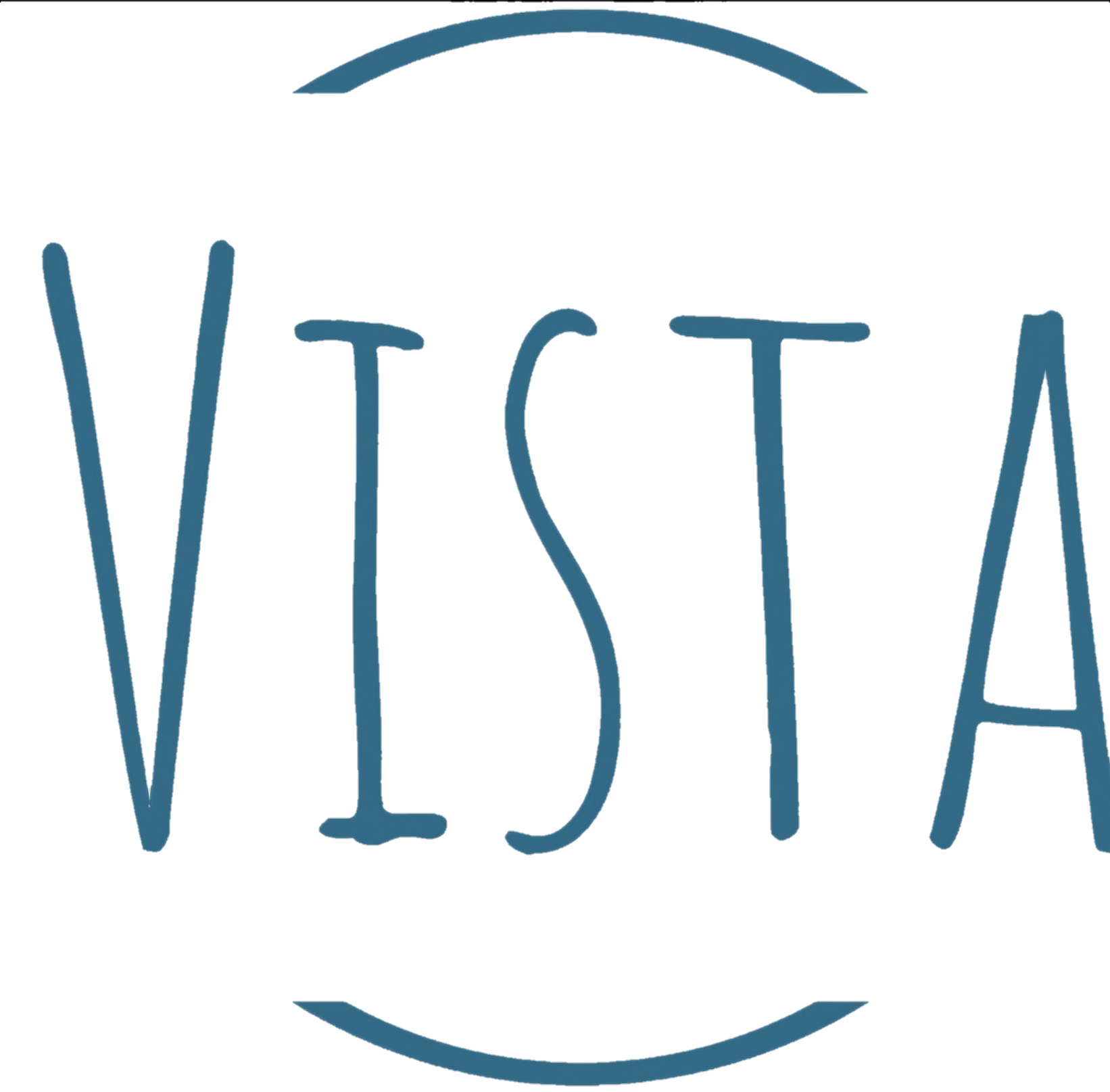 Vista IT Services